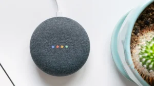 Google Assistant on the Nest Speaker for voice control of the AC.